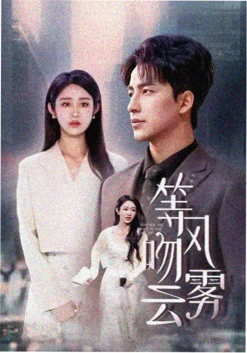 雾港来信电视剧免费在线观看
