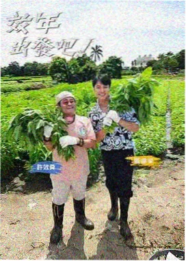 深夜书店谈话综艺免费在线看