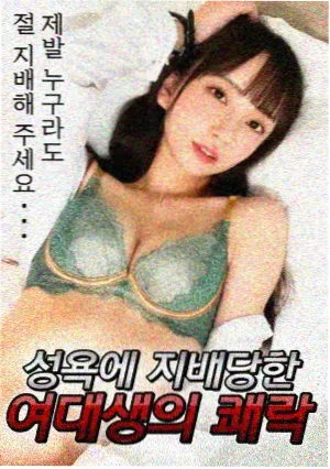 电梯里的十七层短剧免费在线观看